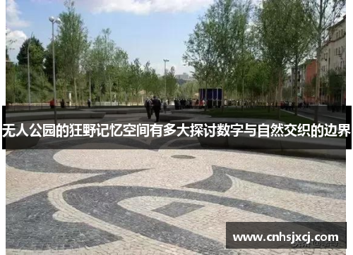 无人公园的狂野记忆空间有多大探讨数字与自然交织的边界